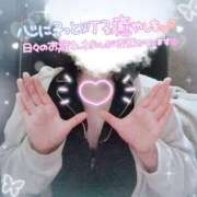 ヒメ日記 2026/03/28 11:51 投稿 ことね 治療院.LOVE 宇都宮店
