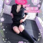 ヒメ日記 2026/04/02 17:42 投稿 ことね 治療院.LOVE 宇都宮店