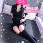 ヒメ日記 2026/04/03 12:12 投稿 ことね 治療院.LOVE 宇都宮店