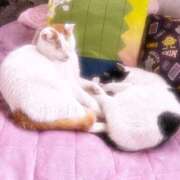 ヒメ日記 2026/02/08 08:00 投稿 れいな【大人女子】 Select(セレクト)