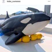 ヒメ日記 2026/03/11 16:52 投稿 れいな【大人女子】 Select(セレクト)