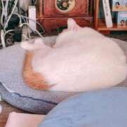 ヒメ日記 2026/03/23 15:03 投稿 れいな【大人女子】 Select(セレクト)