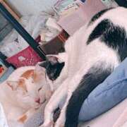 ヒメ日記 2026/03/24 18:00 投稿 れいな【大人女子】 Select(セレクト)