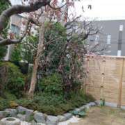 ヒメ日記 2026/02/16 15:31 投稿 てん ラブレター