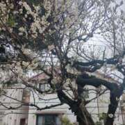 ヒメ日記 2026/02/20 12:04 投稿 てん ラブレター