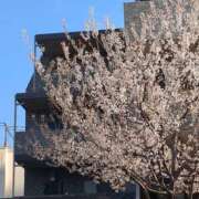 ヒメ日記 2026/03/15 16:15 投稿 てん ラブレター