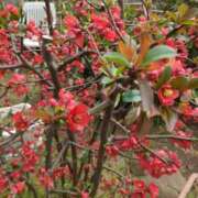 ヒメ日記 2026/03/20 00:29 投稿 てん ラブレター