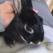 ヒメ日記 2026/03/22 11:29 投稿 てん ラブレター