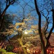 ヒメ日記 2026/03/31 09:14 投稿 てん ラブレター