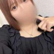 ヒメ日記 2026/02/08 09:19 投稿 なの 五反田サンキュー