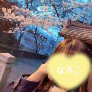 ヒメ日記 2026/04/03 19:58 投稿 なでこ【大人女子】 Select(セレクト)