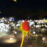 あおい 【お礼写メ日記】 学園collection