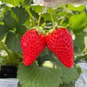 ヒメ日記 2026/03/04 19:34 投稿 あおい 学園collection