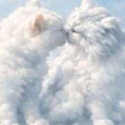 ヒメ日記 2026/02/26 23:13 投稿 こはく 千葉人妻花壇