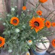 ゆえ おはようございます🥱 フォーシーズン