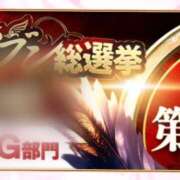 ヒメ日記 2026/03/12 19:36 投稿 サキ 姫路ラビット