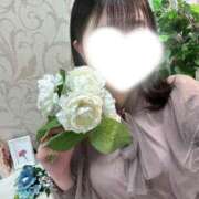ヒメ日記 2026/05/01 08:17 投稿 雛河 朱里 人妻セレブ宮殿