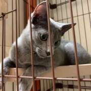 ヒメ日記 2026/02/10 16:13 投稿 きさき ハピネス＆ドリーム 松山道後温泉