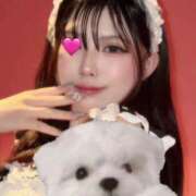 ヒメ日記 2026/02/19 10:08 投稿 きさき ハピネス＆ドリーム 松山道後温泉