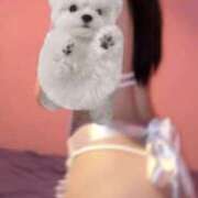 ヒメ日記 2026/02/19 17:52 投稿 きさき ハピネス＆ドリーム 松山道後温泉