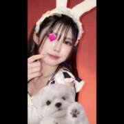 ヒメ日記 2026/02/24 09:38 投稿 きさき ハピネス＆ドリーム 松山道後温泉