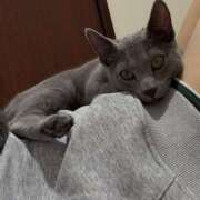 ヒメ日記 2026/02/24 11:18 投稿 きさき ハピネス＆ドリーム 松山道後温泉