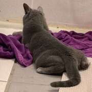 ヒメ日記 2026/02/27 13:18 投稿 きさき ハピネス＆ドリーム 松山道後温泉