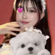 ヒメ日記 2026/03/10 20:01 投稿 きさき ハピネス＆ドリーム 松山道後温泉