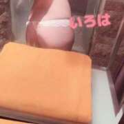 ヒメ日記 2026/10/06 19:33 投稿 楓　彩葉 快楽堂