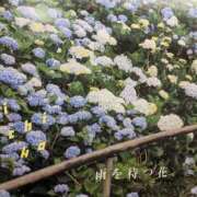 ヒメ日記 2026/06/04 22:01 投稿 くるみ 池袋西口でSUGEEE求められる俺のカラダ