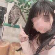 ヒメ日記 2026/02/19 12:15 投稿 かなの 金瓶梅(きんぺいぱい)(雄琴)