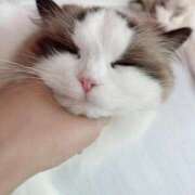 ヒメ日記 2026/02/23 12:36 投稿 かなの 金瓶梅(きんぺいぱい)(雄琴)