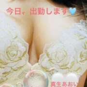 ヒメ日記 2026/02/20 07:30 投稿 真生 あおい こあくまな熟女たち 西川口店(KOAKUMAグループ)