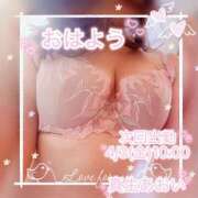 ヒメ日記 2026/03/30 06:57 投稿 真生 あおい こあくまな熟女たち 西川口店(KOAKUMAグループ)