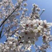 ヒメ日記 2026/04/03 09:36 投稿 真生 あおい こあくまな熟女たち 西川口店(KOAKUMAグループ)