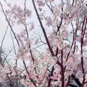 ヒメ日記 2026/03/24 22:12 投稿 もえ マネキン神宮店