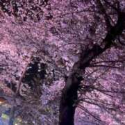 ヒメ日記 2026/03/31 16:33 投稿 まや マネキン神宮店