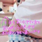 ヒメ日記 2026/04/08 17:22 投稿 まや マネキン神宮店