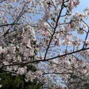 ヒメ日記 2026/04/03 12:52 投稿 もも マネキン神宮店