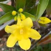 ヒメ日記 2026/03/30 13:12 投稿 あお マネキン神宮店