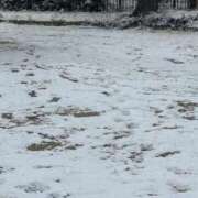 ヒメ日記 2026/02/08 10:37 投稿 みどり 完熟ばなな神戸・三宮店