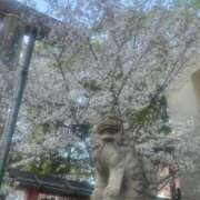 ヒメ日記 2026/04/08 17:52 投稿 みどり 完熟ばなな神戸・三宮店