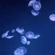 ヒメ日記 2026/02/05 15:16 投稿 美緒 おとなのわいせつ倶楽部 本厚木店