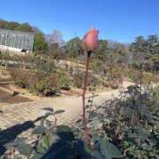 ヒメ日記 2026/02/17 23:06 投稿 美緒 おとなのわいせつ倶楽部 本厚木店