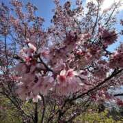 ヒメ日記 2026/03/16 22:36 投稿 美緒 おとなのわいせつ倶楽部 本厚木店