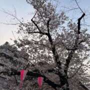 ヒメ日記 2026/04/02 11:59 投稿 はるきちゃん ChuChuバナナ