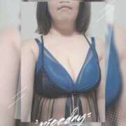 ヒメ日記 2026/03/26 08:01 投稿 河野 めぐみ こあくまな熟女たち 加古川店 (KOAKUMAグループ)