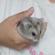 ヒメ日記 2026/06/13 20:47 投稿 るか 兵庫姫路・加古川ちゃんこ