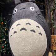 ヒメ日記 2026/02/06 13:29 投稿 中野のあ 熟女パラダイス岐阜羽島店（カサブランカグループ）