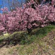 ヒメ日記 2026/03/05 10:09 投稿 中野のあ 熟女パラダイス岐阜羽島店（カサブランカグループ）